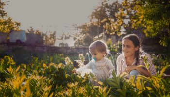 Mother and baby gardening together at sunset.
