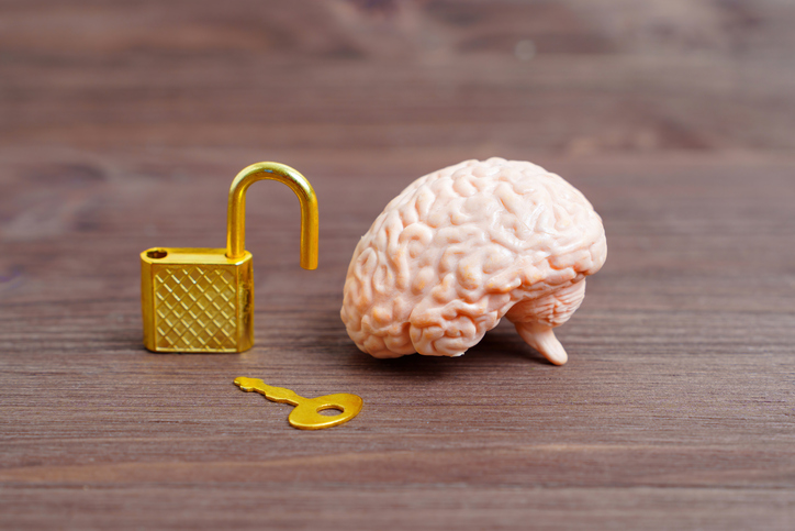 Human Brain Model with Padlock and Key
