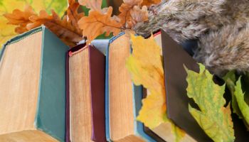 Different books and maple leaves, closeup. Autumn atmosphere