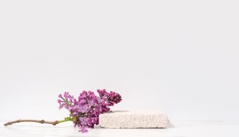 Cosmetics skin care product presentation scene and display with copy space made with pumice stone podium and blossom flowers lilac branch. Studio photography.
