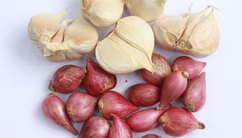 shallots and garlic (cooking herbs)