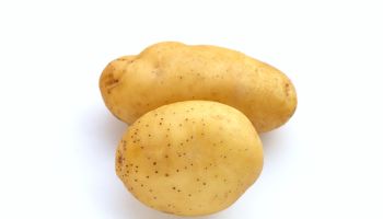 Fresh patatoes on white background.
